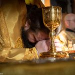 Епископ Амвросий возглавил Литургию в кафедральном соборе Воскресения Христова г. Борисова